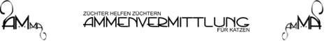 Ammenvermittlung
