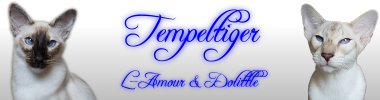 Tempeltiger